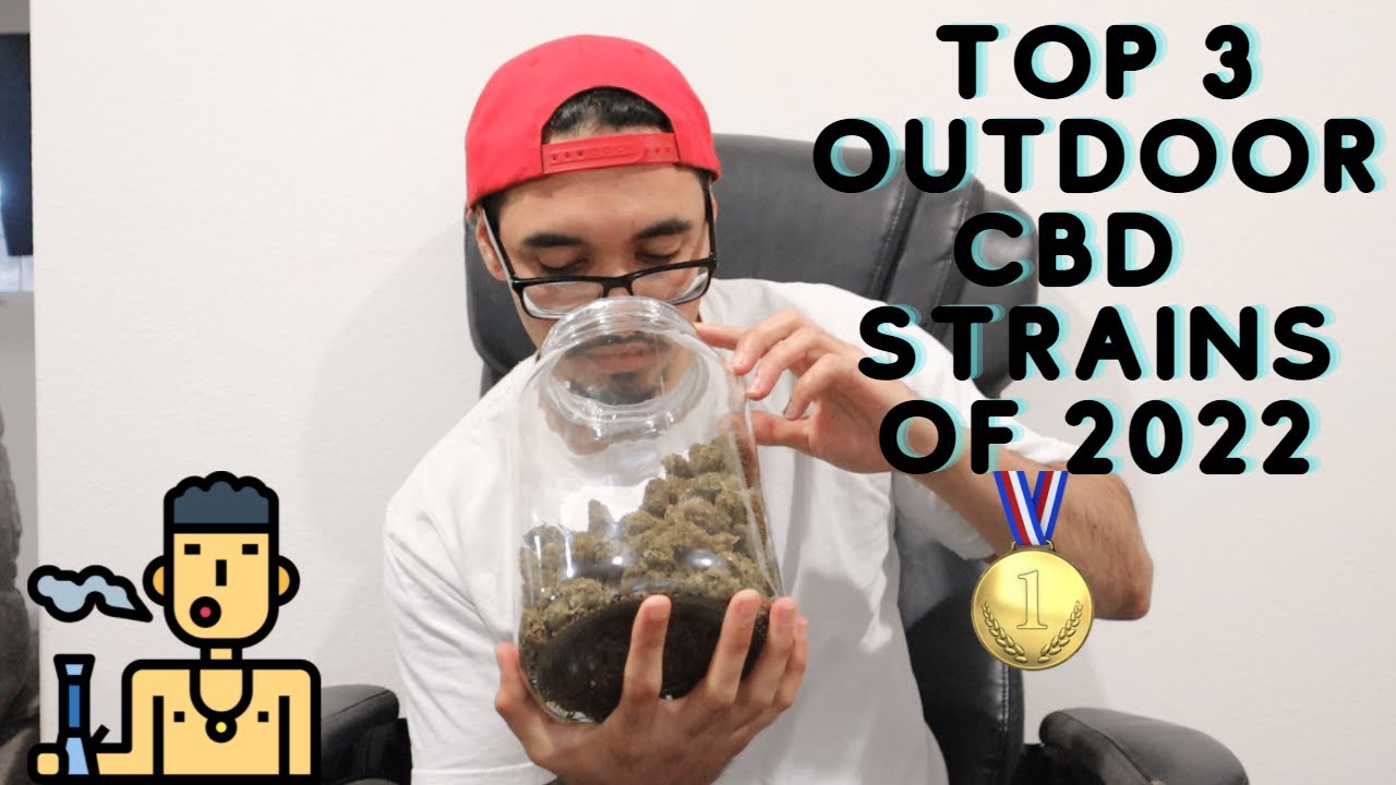 Top 3 Outdoor CBD Strains of 2022 | Bammmer
