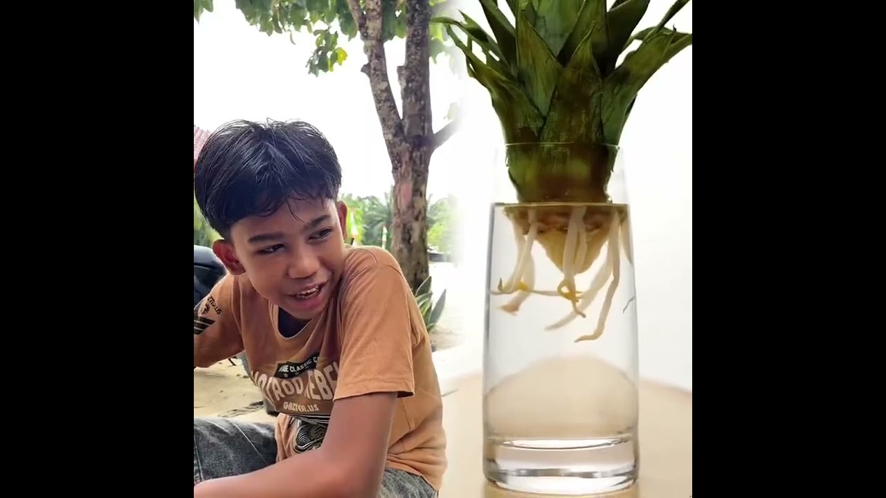 Suka kumpulan video lucu @wak.mi19  wak.mi19