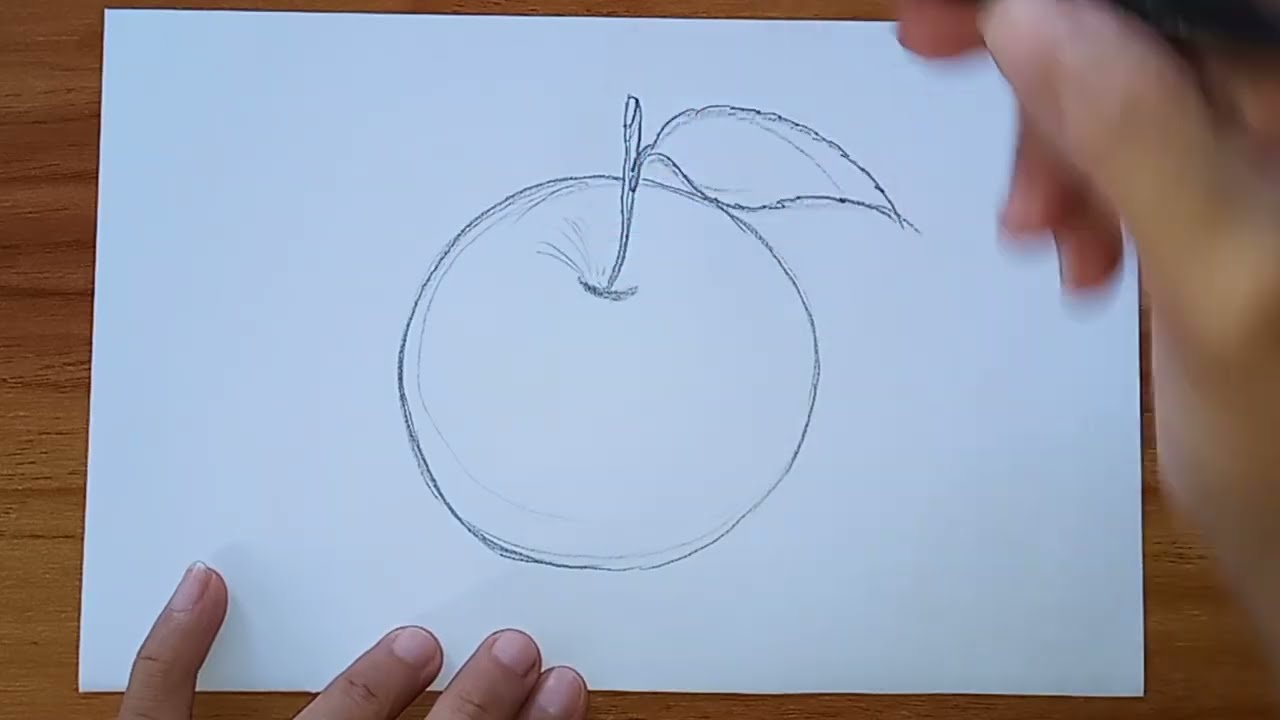 How to draw Apple|Sketch #drawing #easydrawing #sketch 