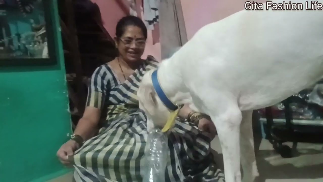 आज विरू ला थोडा वेळ दिला आणि तो पण खुष मी पण खुष 🥰