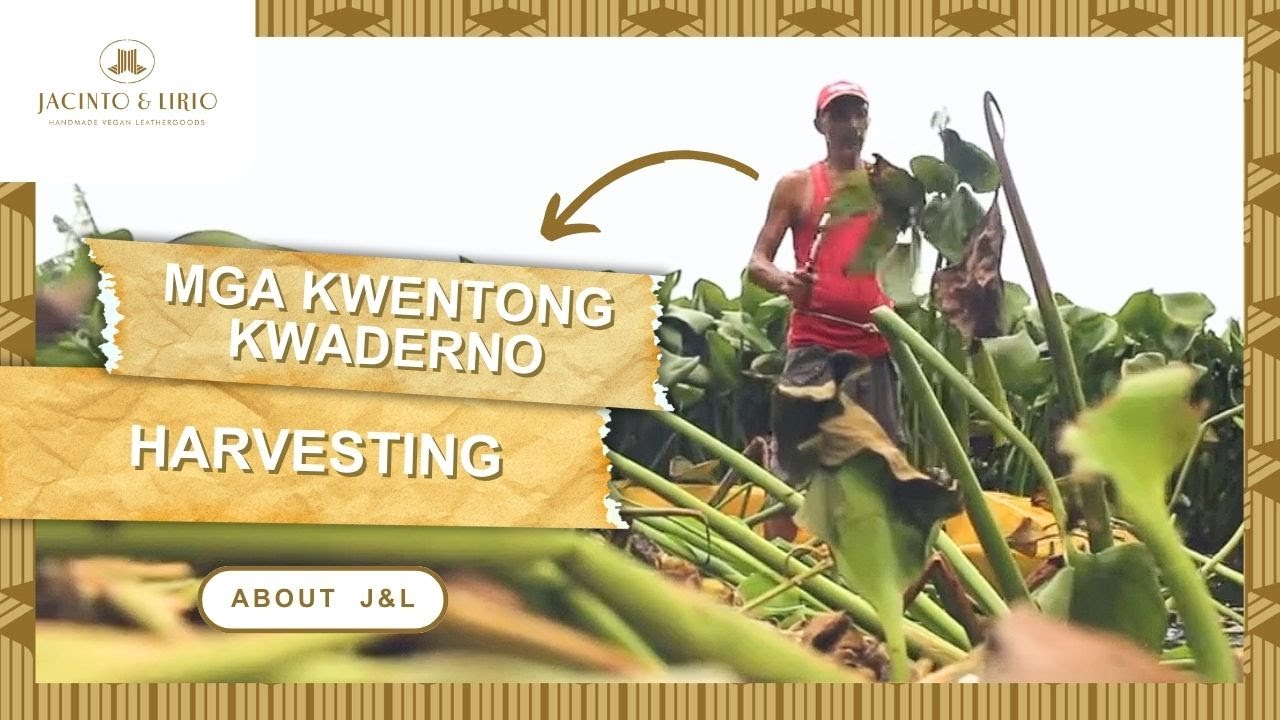Mga Kwentong Kwaderno