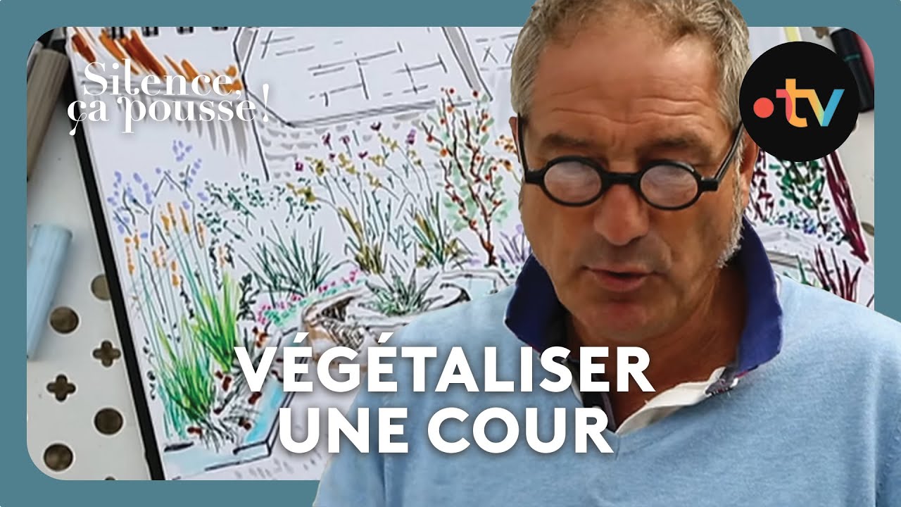 Pas de panique / 2 ans après : végétaliser une cour - Silence, ça pousse !   Diffusion du