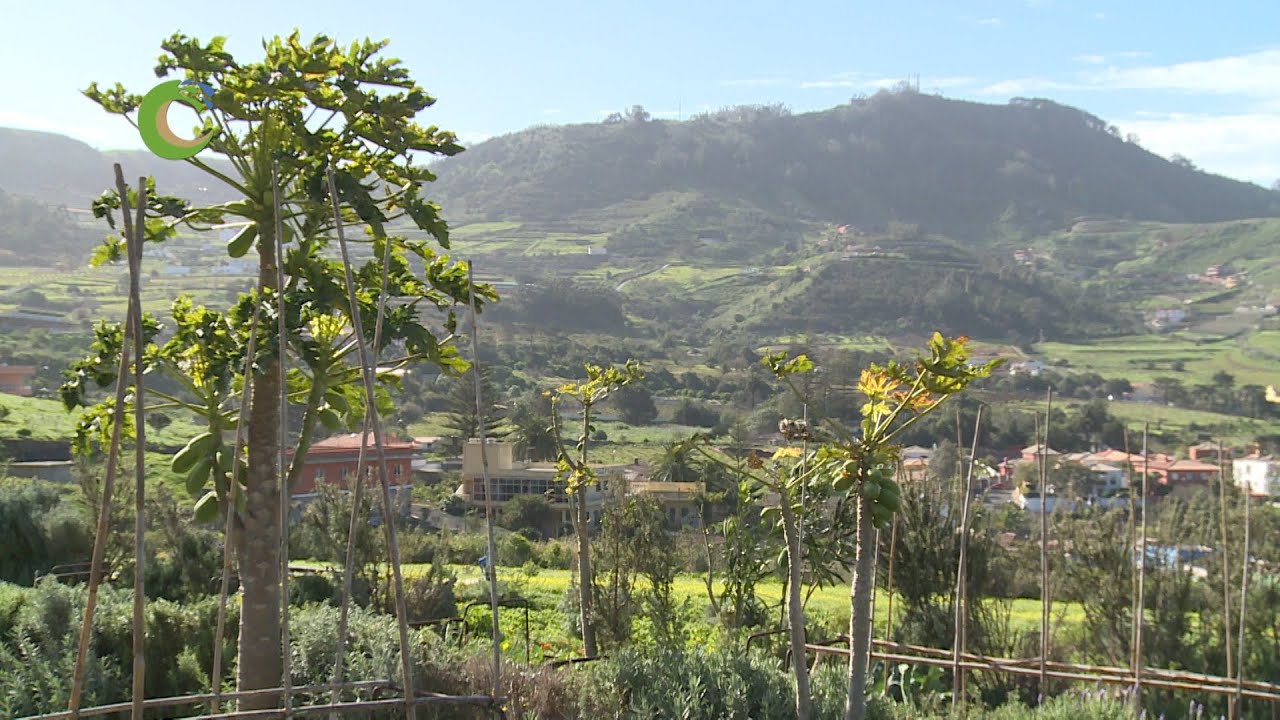 FINCA ECOLOGICA EL PILON- TEGUESTE