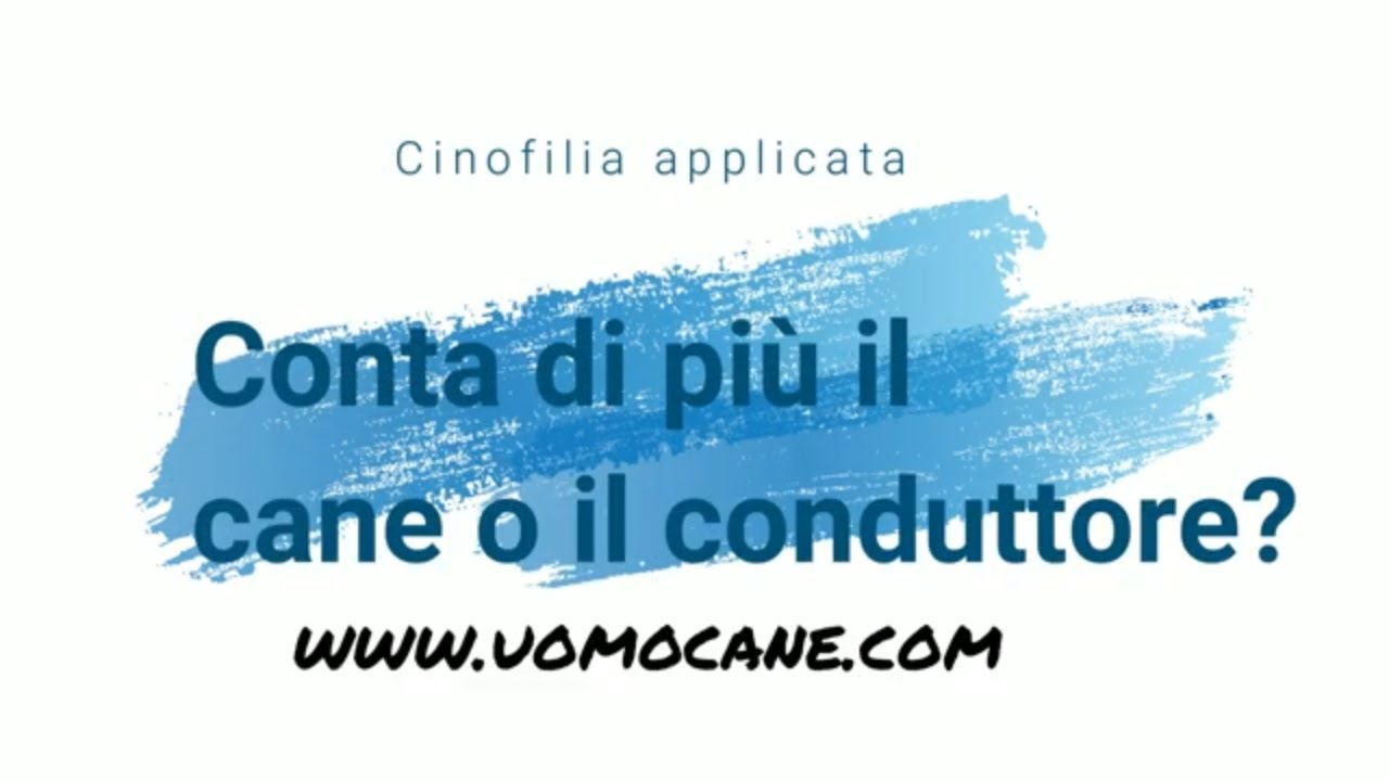 Conta di più il cane o il conduttore?