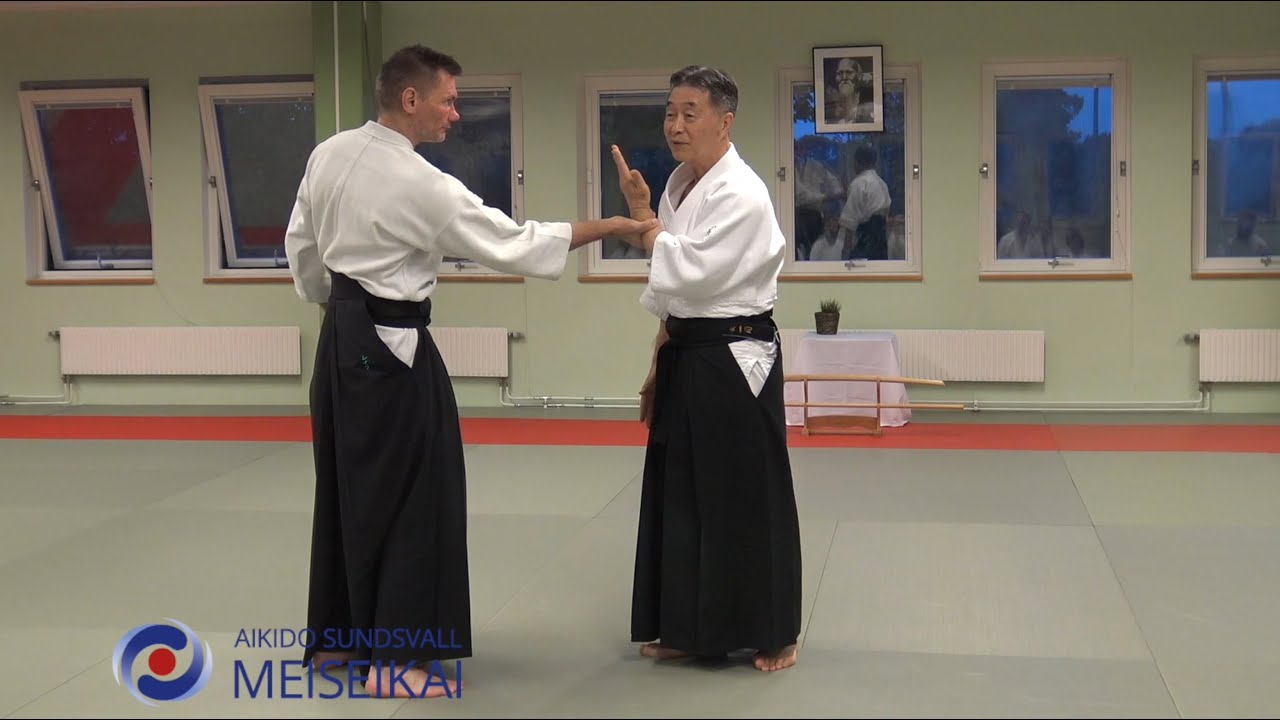Aikido Gyaku Hanmi Kotegaeshi Omote, Shishiya Sensei Malmö 2018