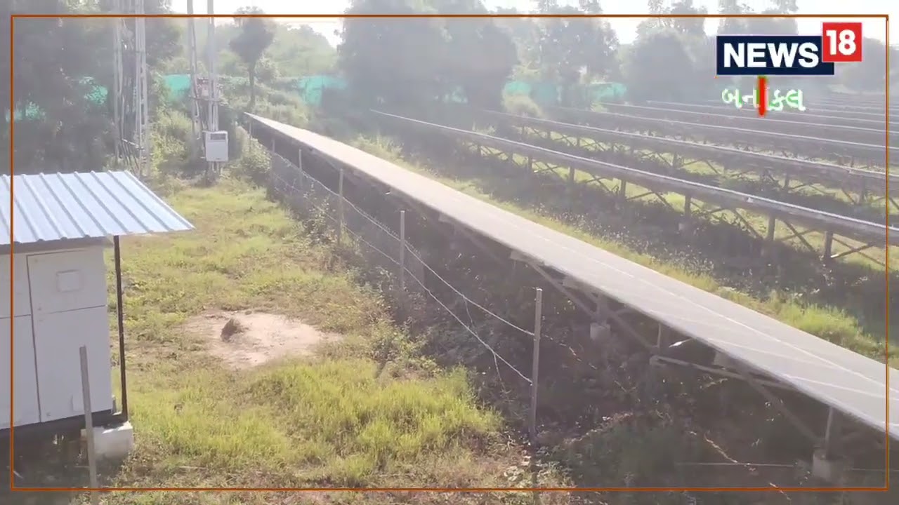 Solar Plant | સોલાર પ્લાન્ટમાંથી વર્ષે મેળવે છે લાખોની આવક | Deesa | | Agriculture News18 | Local18