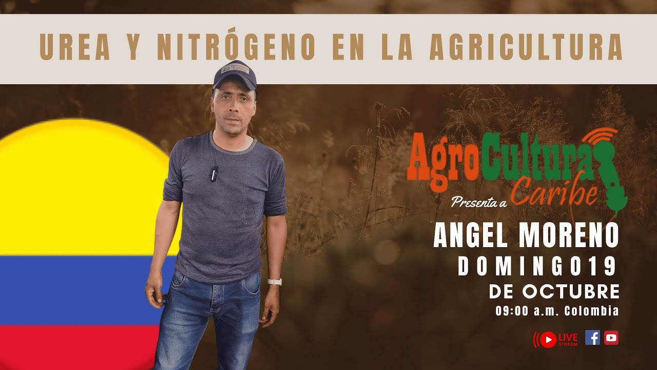 Urea y Nitrógeno en la agricultura