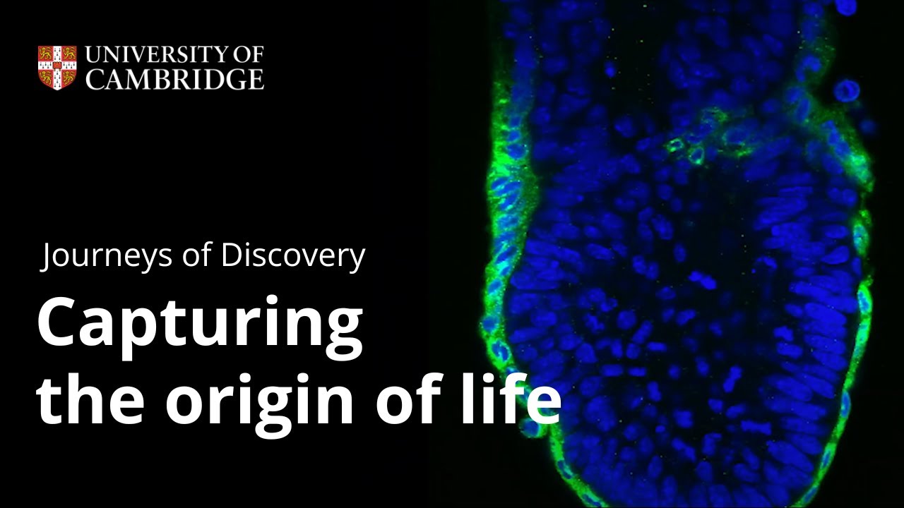 Journeys of Discovery: Capturing the origin of life
