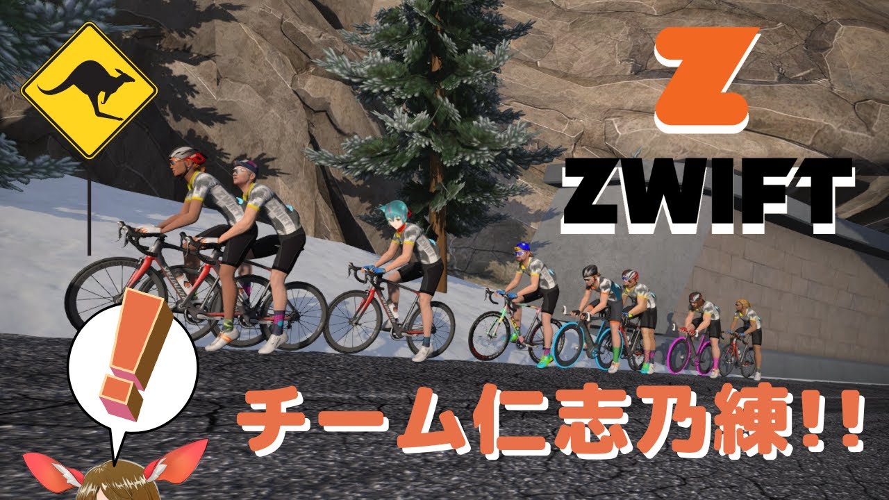 【ZWIFT #411】ゆるポタらしい！【チームNISHINO練】