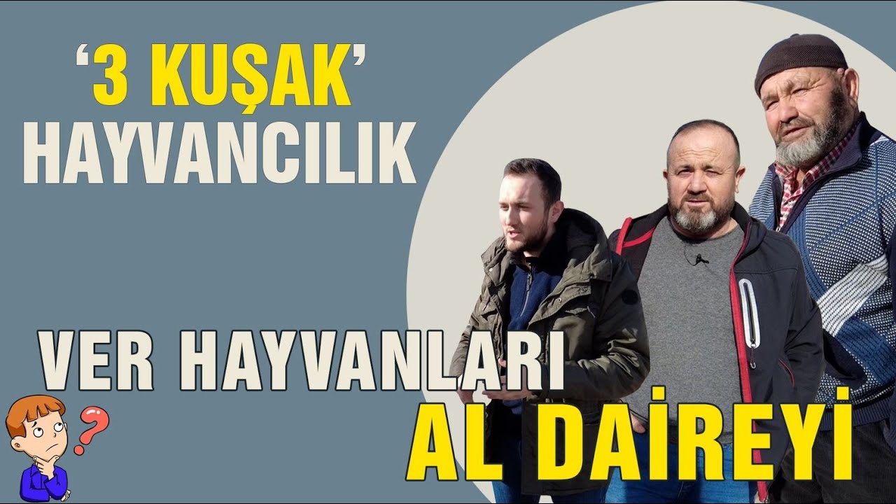 3 Kuşak Hayvancılık / VER HAYVANLARI AL DAİREYİ - Etten Süte