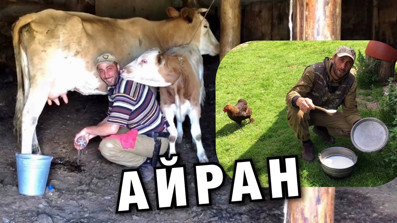 АЙРАН карачаево-балкарский. ГОТОВИТ ГОРЕЦ - Ayran