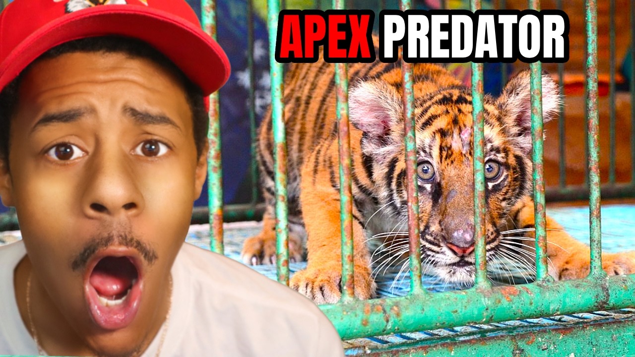 The Hardest Animals To Capture