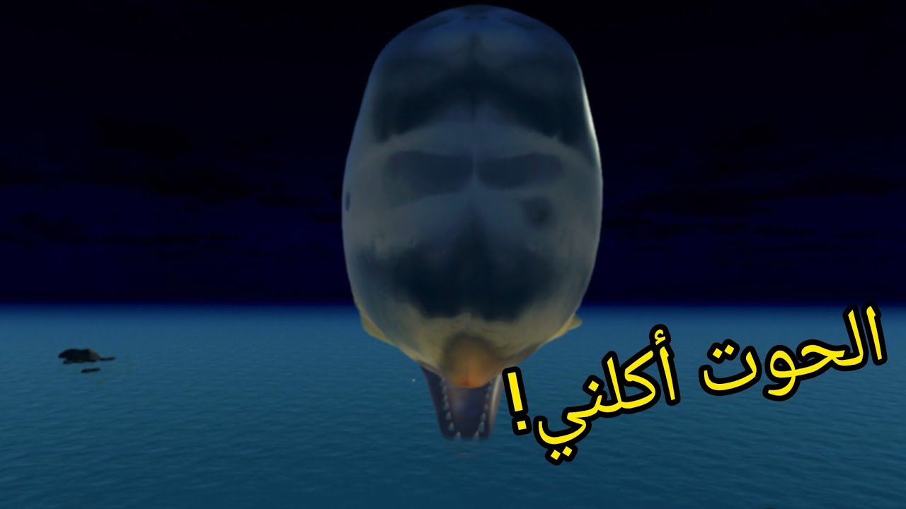 هجم عليّ حوت عملاق Suicide Guy