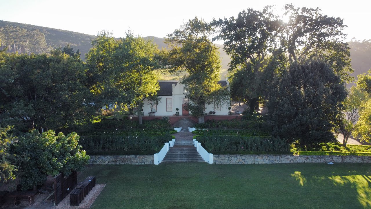 🇿🇦 Video 5 of 9 Wedding at Diamant Estate.