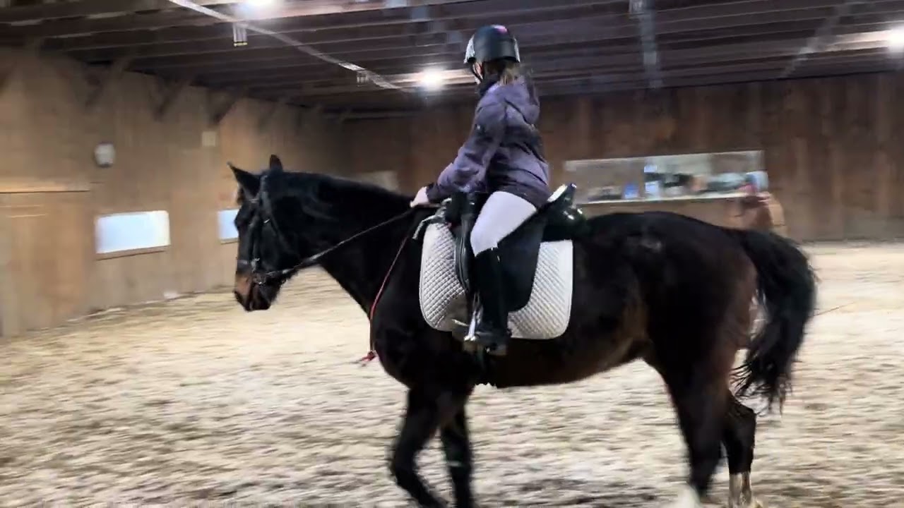 Easy trotting lesson ￼
