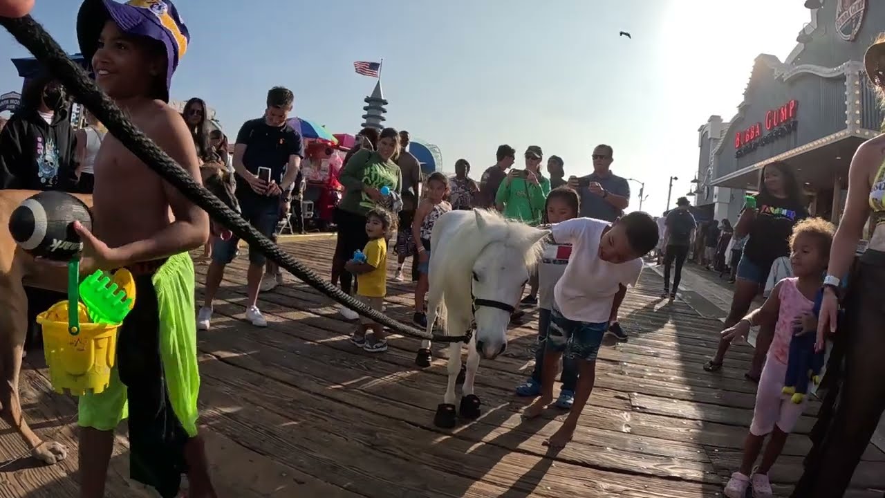 Lt. Rowdy Mini Horse and Cash 2.0 Visiting Santa Monica Pier (5)