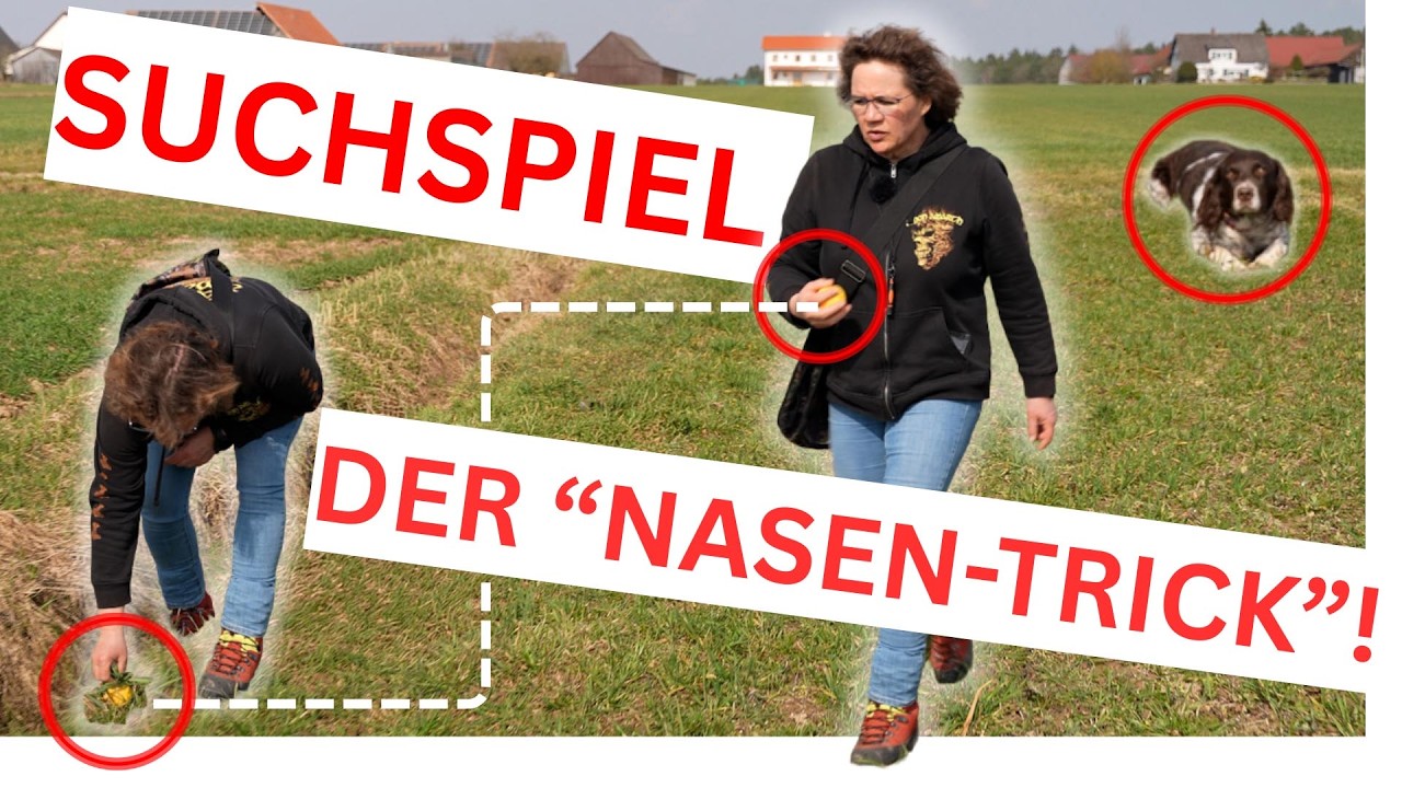 💥🐶 Hunde beschäftigen an der Leine 👉 perfekt für Setz & Brutzeit (Leinenpflicht) 🐶💥✔️