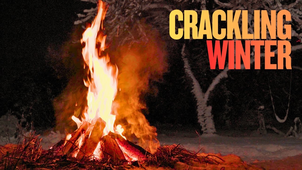 Cozy Winter Campfire | Relaxing Crackling Fire Sounds for Sleep & Study