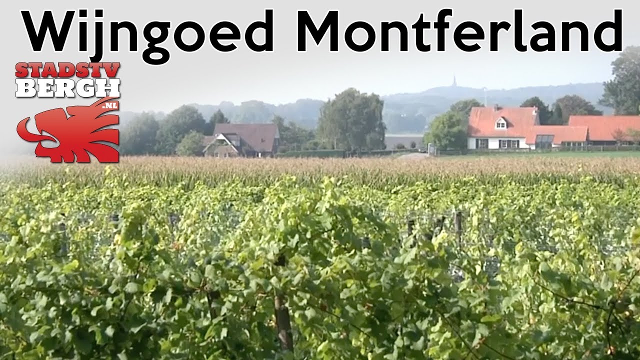 Wijngoed Montferland