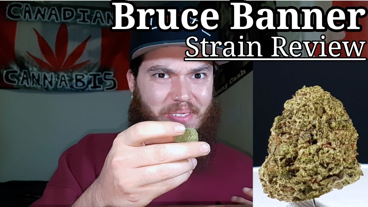 Strain Review - Bruce Banner