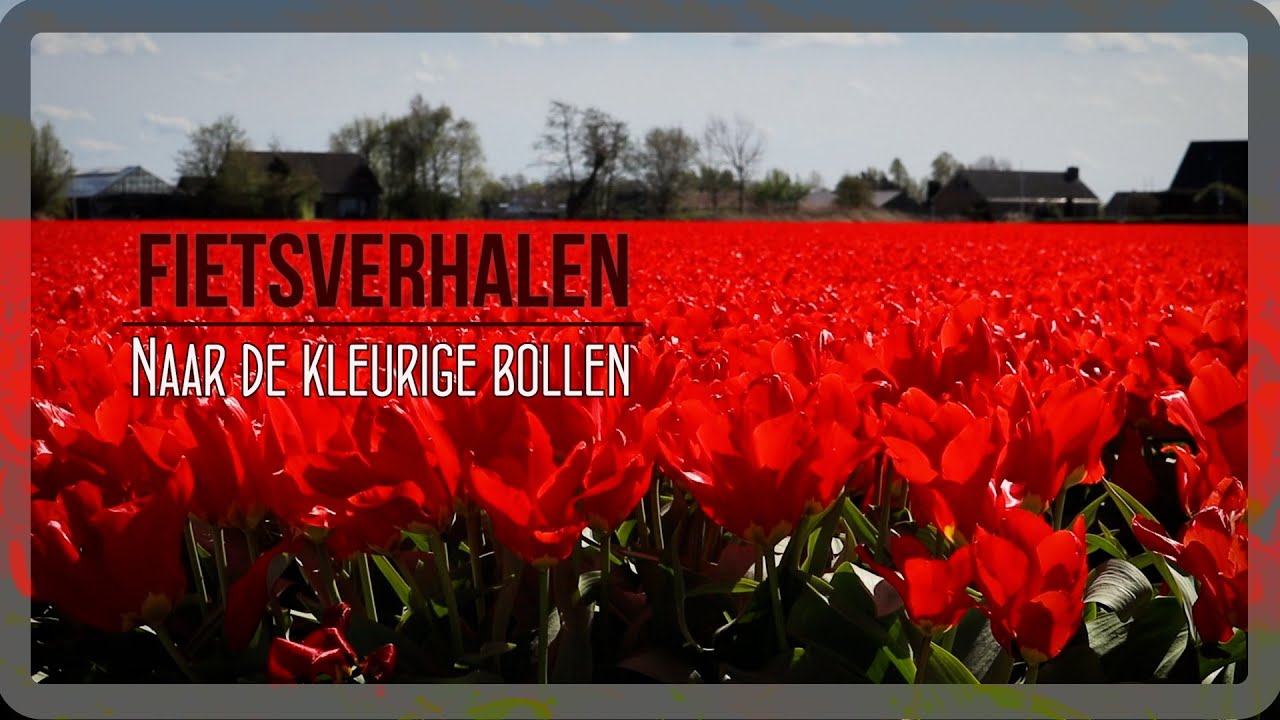 024 -  Met z'n allen naar de bollen