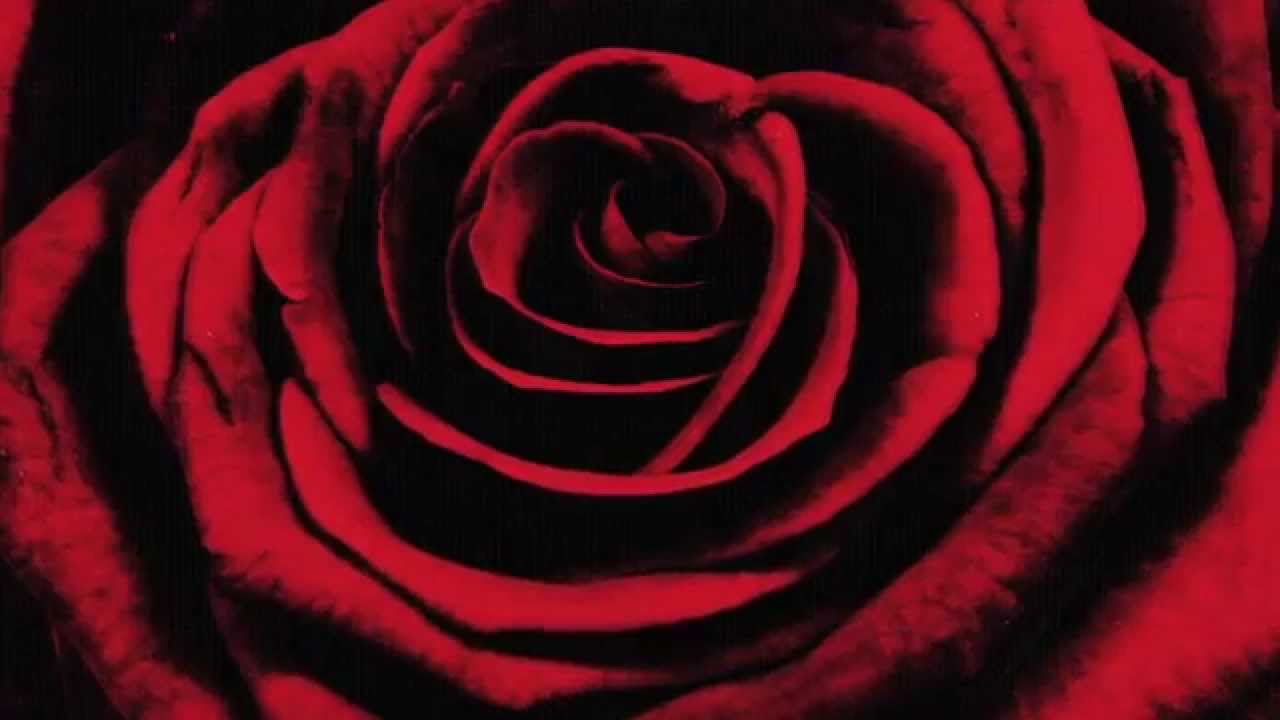 Bag om Beauty and the Beast - Skønheden og Udyret, Del 2