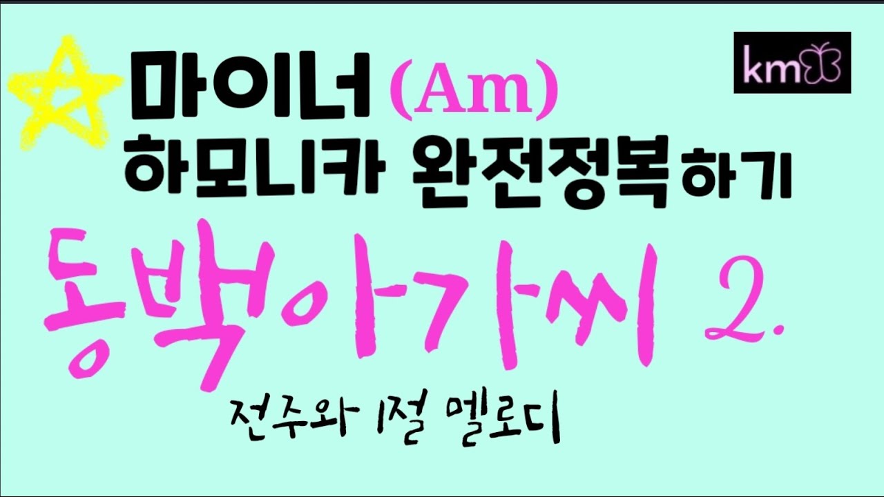 마이너하모니카완전정복1탄 동백아가씨2. #분홍나비하모니카김경희