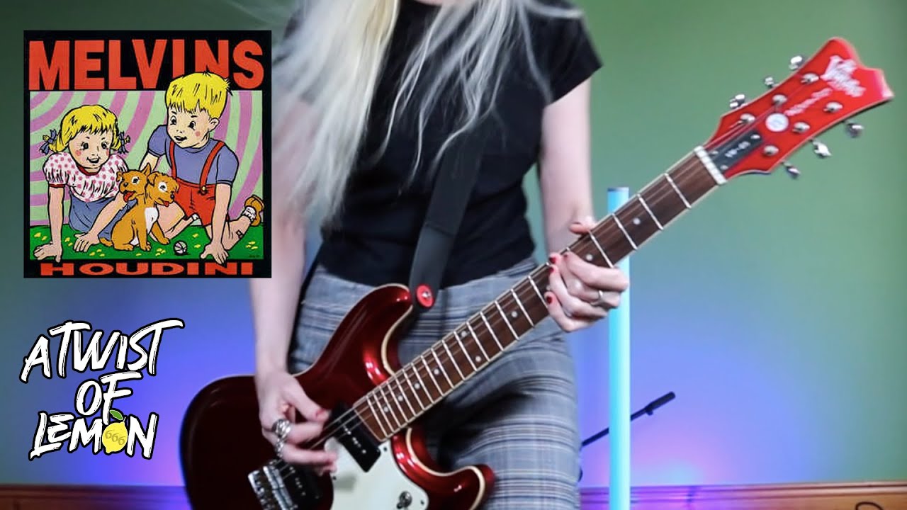 MELVINS - HOOCH (Guitar Cover)