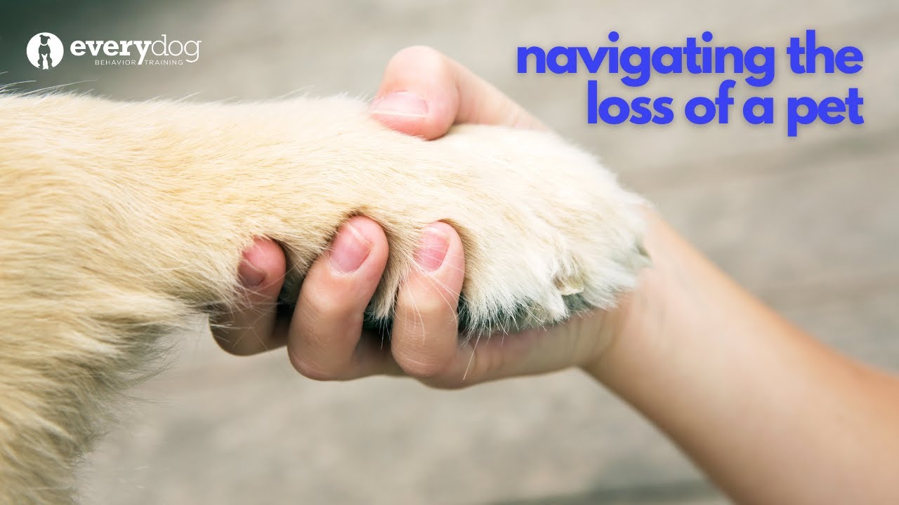 Navigating the loss of a pet