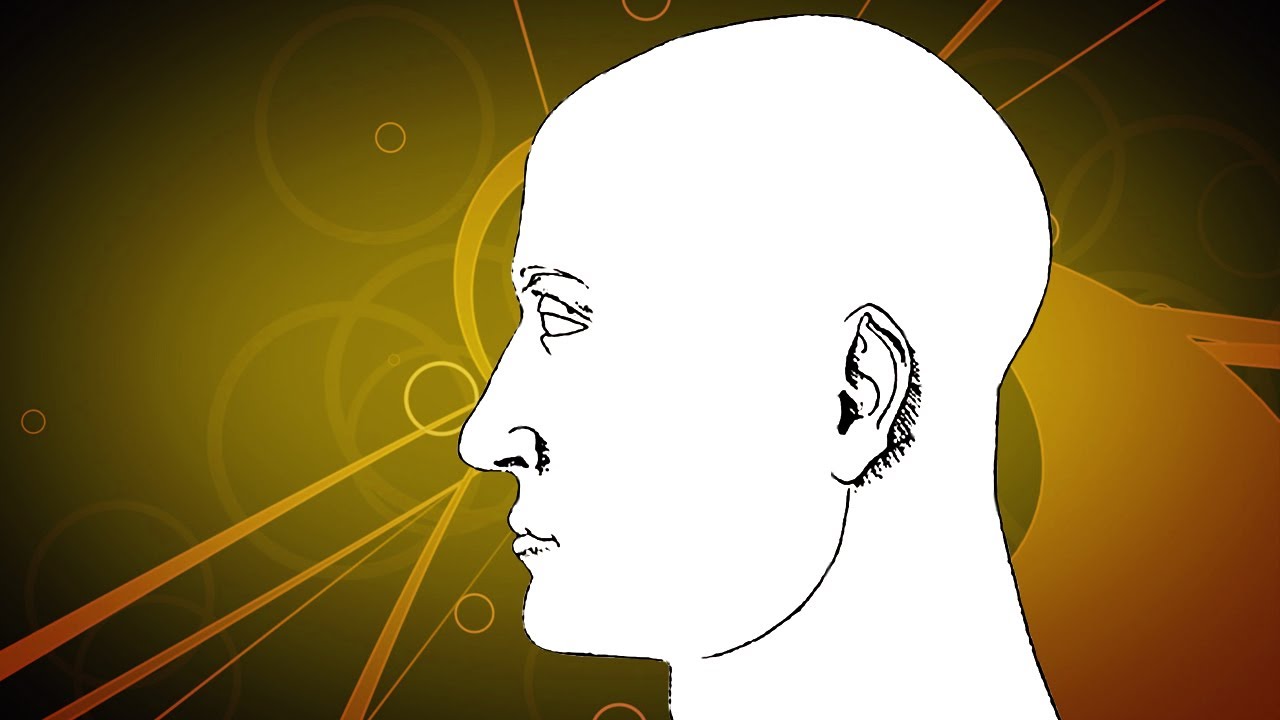 Find Out What Your Face says about You - Epic Science #16