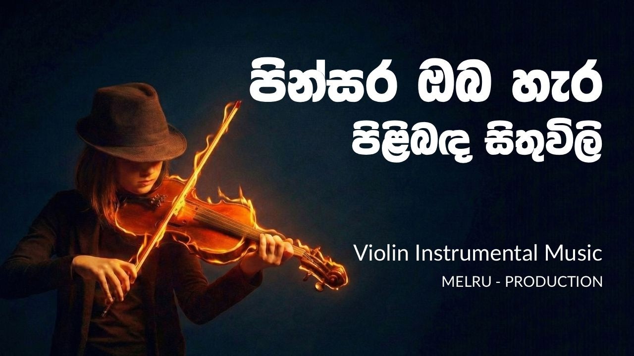 Pinsara Oba Hara | පින්සර ඔබ හැර | Sinhala Instrumental Cover | #melrubeatz
