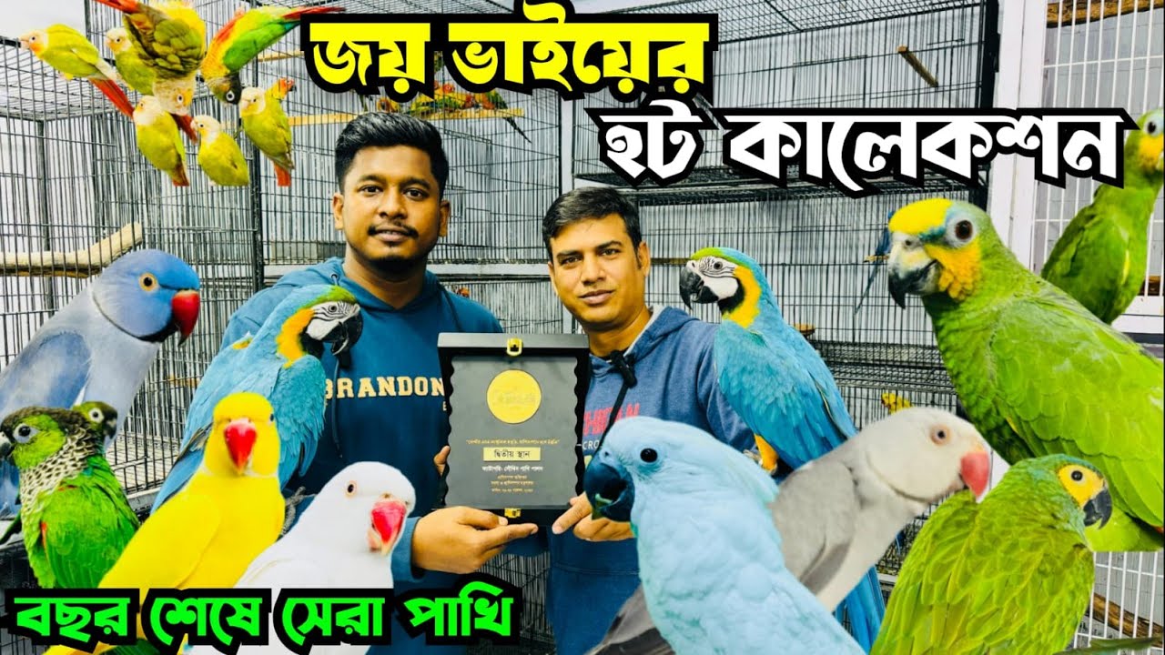 বছর শেষে সেরা চমক।হট কালেকশন | Bird Zooming | Mirpur 1&nbsp;Pakhir&nbsp;hat #viral