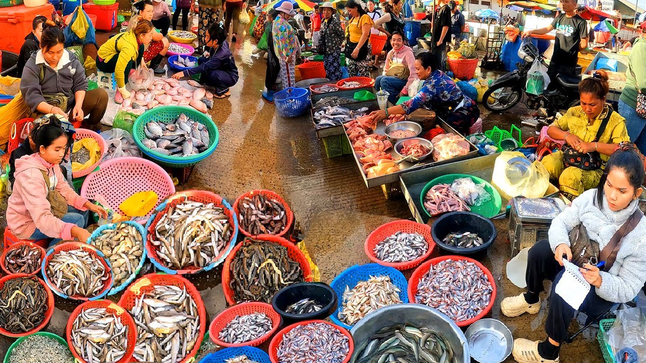 The Cold Market, Rich in Fresh Fish, Big and Small. Cambodia Freshwater Fish Market.