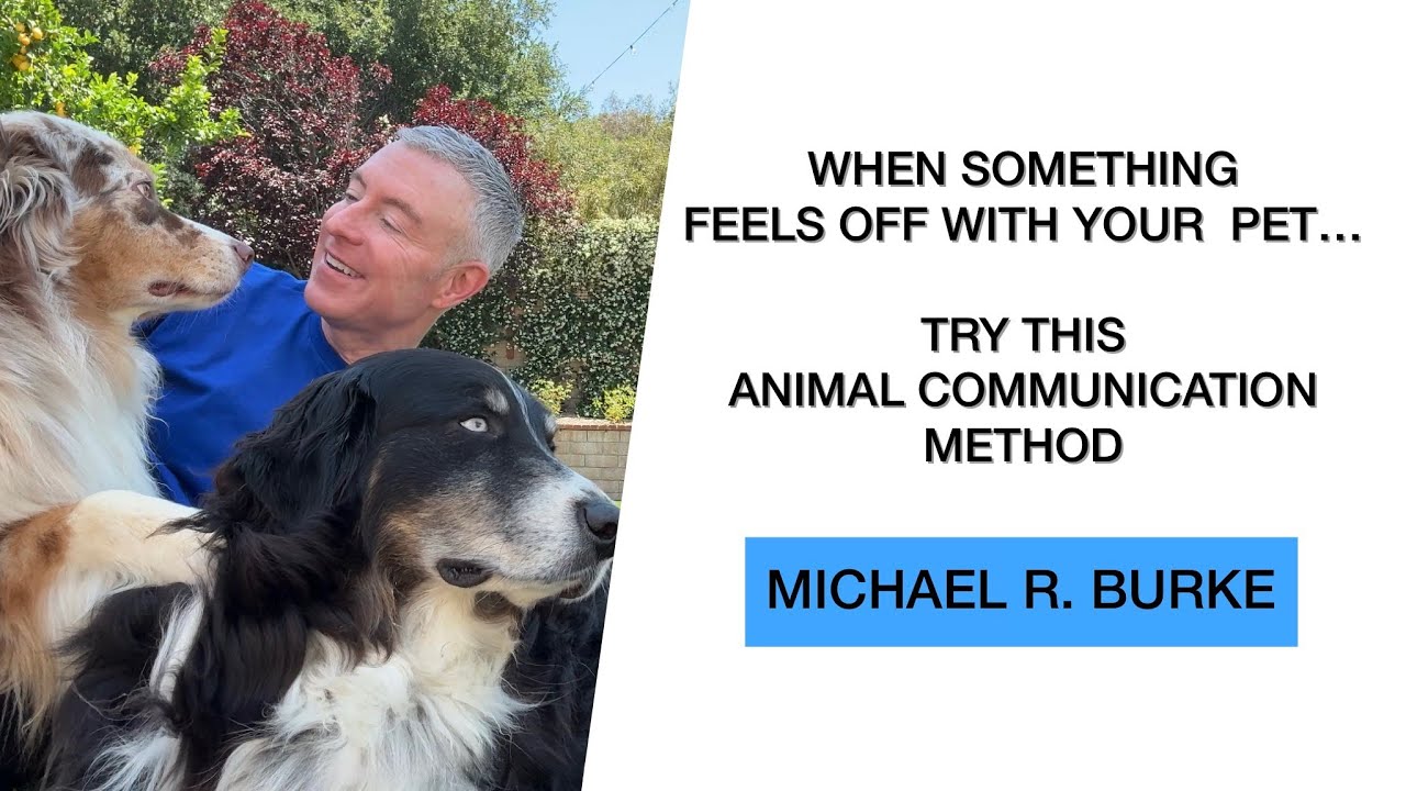 When Something Feels Off with Your Pet, Try This Animal Communication Method