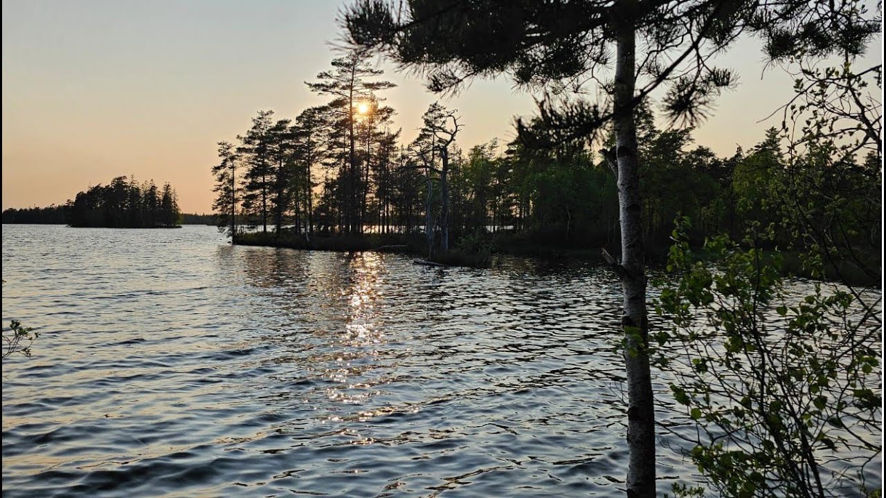 Knappis Artentour Mittelschweden