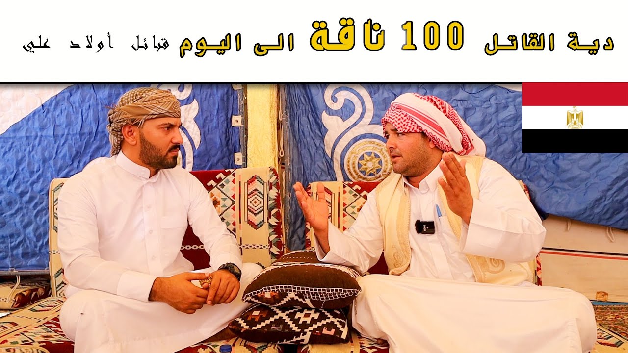 قانون قبائل اولاد علي في القتل | بدو مطروح  مصر _دربة أولاد علي_ إتفاق قبل 500 عام #مصر
