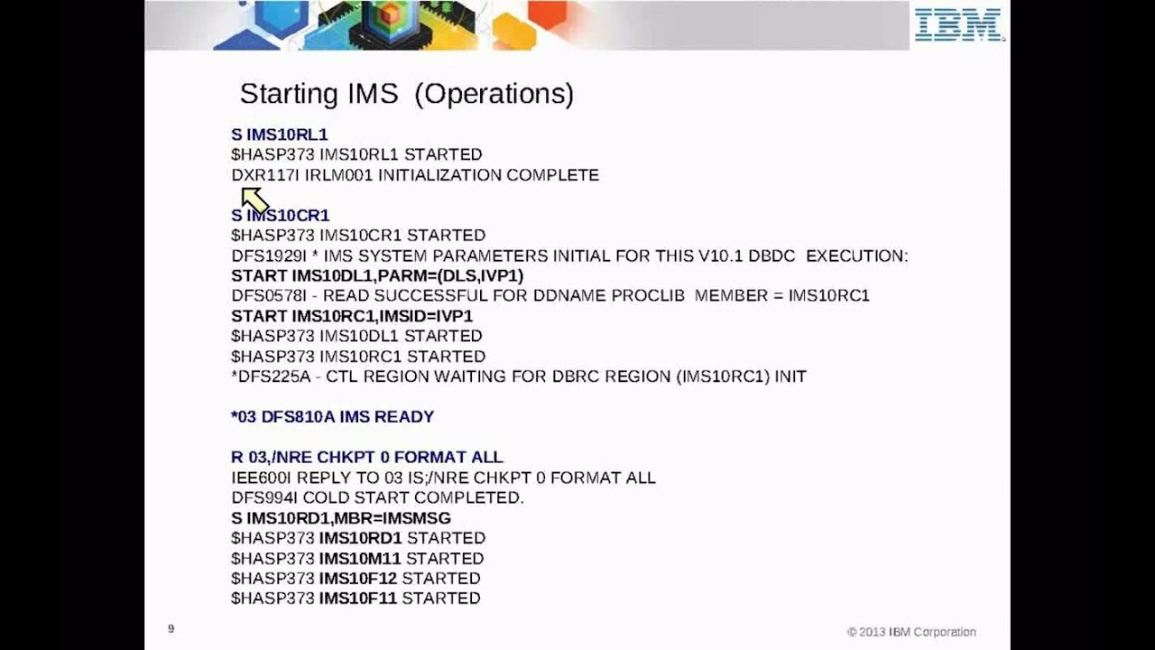 IBM Academic Initiative IMS  -  Unit 19