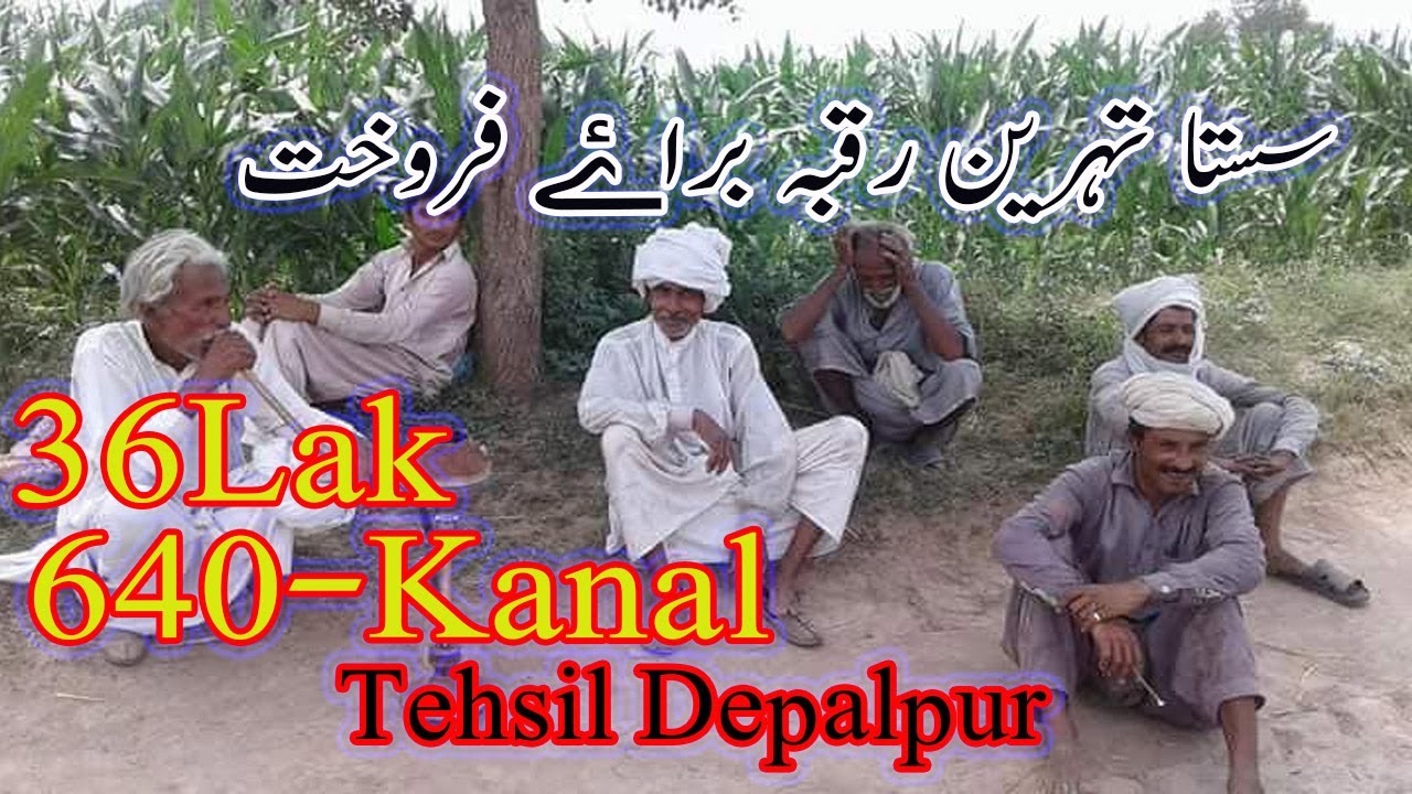 640 Kanal Land For Sale Near To Depalpur Village Agriculture Land