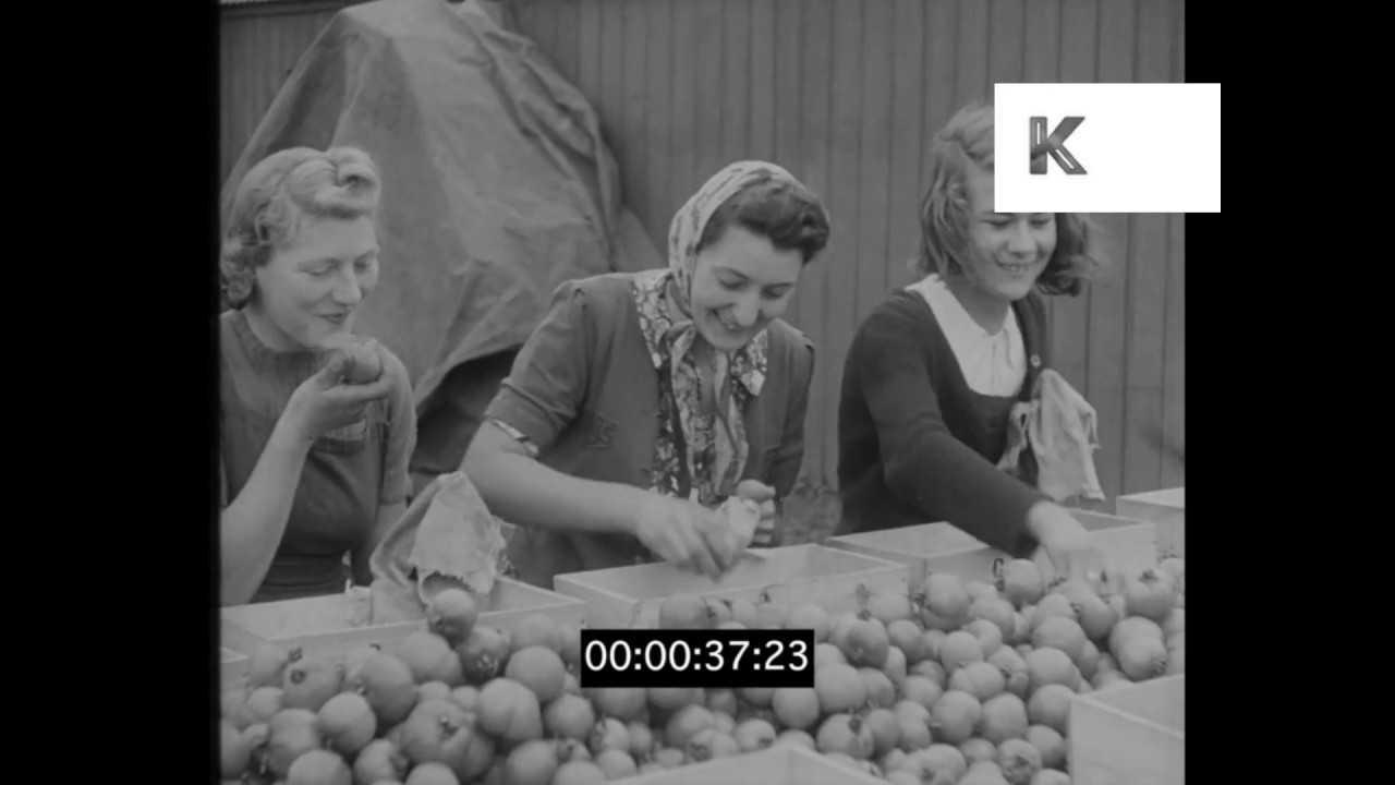 Девушки из Land Girls собирают урожай в Британии во время войны, 1942 год, HD