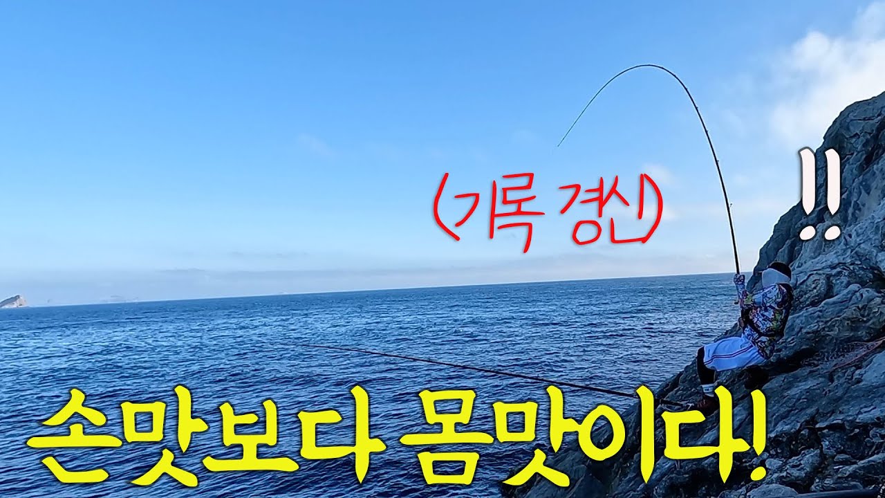 평생 잊을수 없는 손맛?! 회 맛도 일품인 녀석을 잡으러 가봤네요! 거기다가 기록경신까지?! 원투낚시