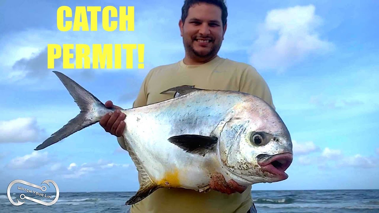 HOW TO CATCH A PERMIT FROM THE BEACH (FF Episode 16, Season 1)