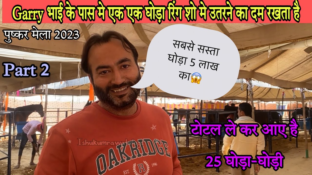Garry gill भाई पुष्कर मेले मे ले कर आए है सबसे बड़िया क्वालिटी के घोड़े।Veer Stud Farm।#pushkarmela