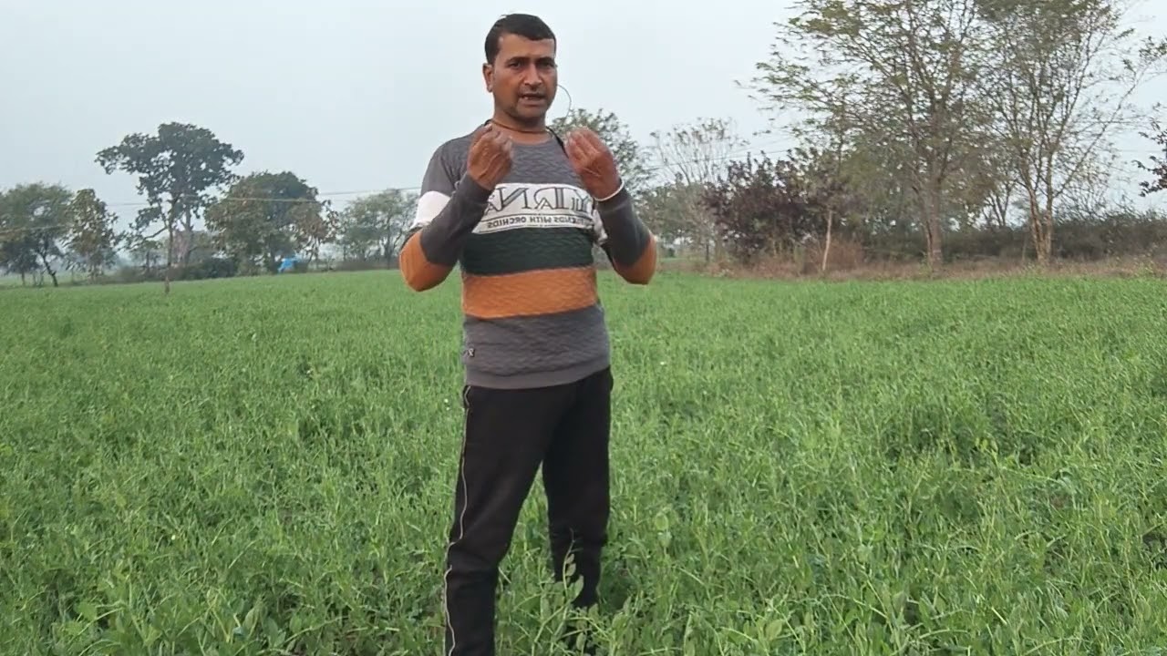 प्राकृतिक खेती से लाभ 