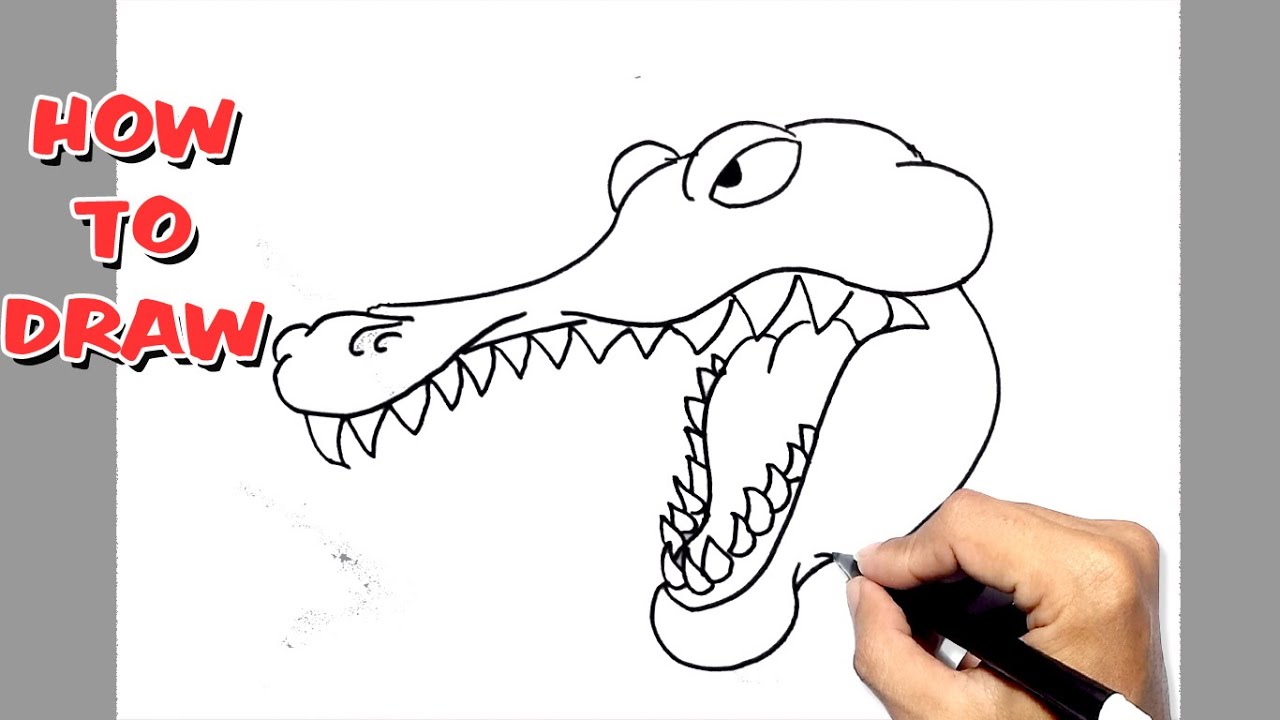 How to Draw Alligator Head Step by Step || CROCODILE head