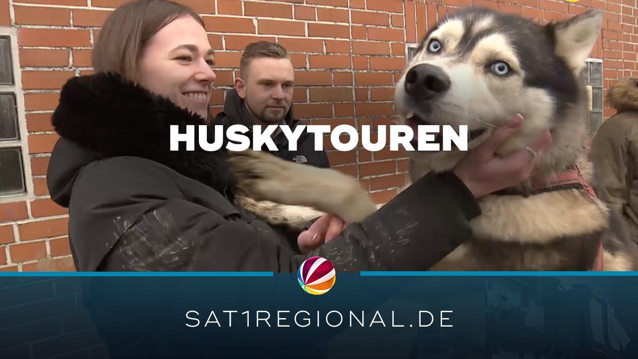 Husky-Touren durch die Natur als besonderes Erlebnis