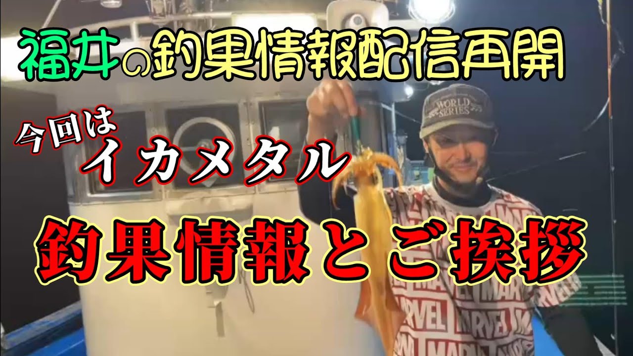 【釣果情報】福井越前イカメタル情報！【8月中旬号】