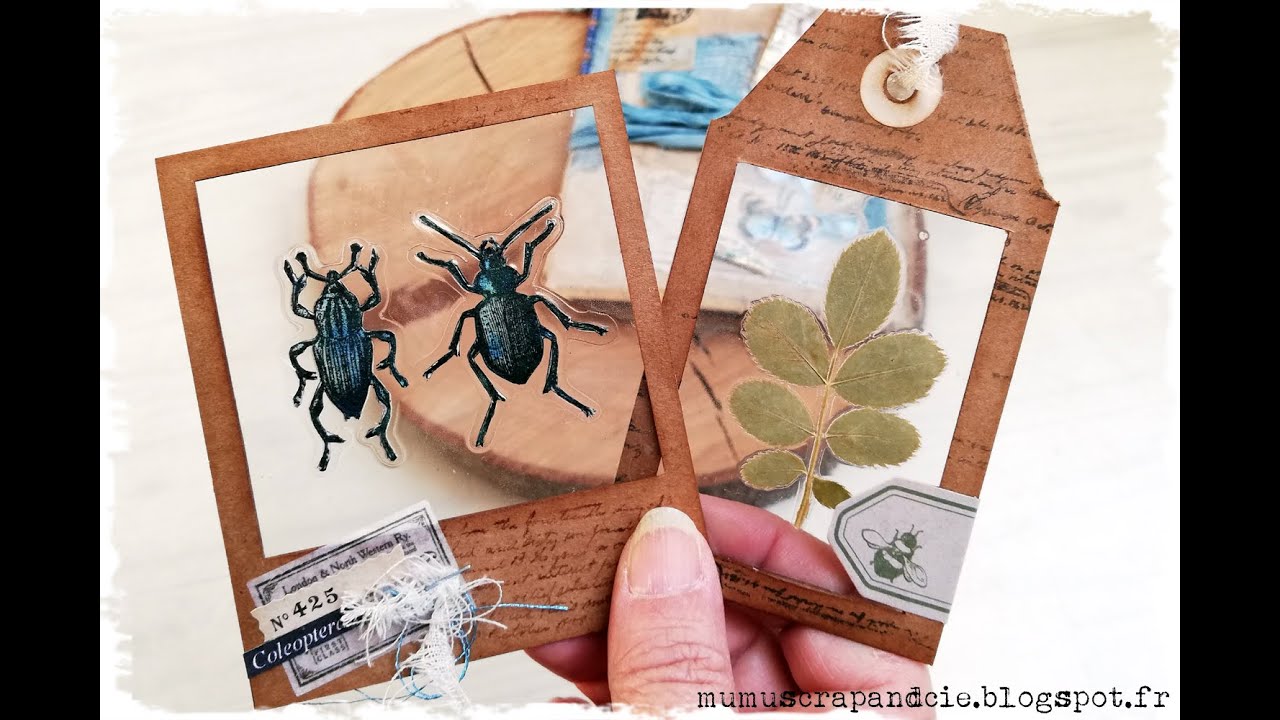 Polaroïd Vintage avec plastifieuse