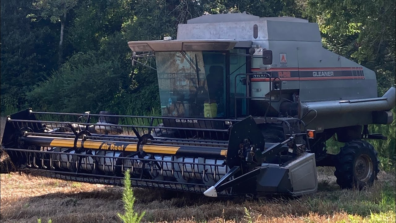 Combining  Wheat with a Gleaner R-52