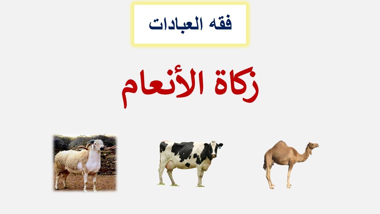 زكاة الأنعام
