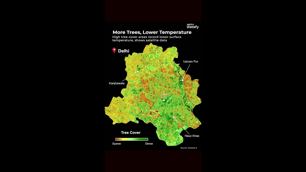 Delhi&rsquo;s Heatwave Divide: Why Greener Areas Stay Cooler